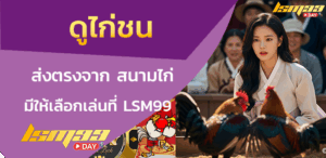 ดูไก่ชน