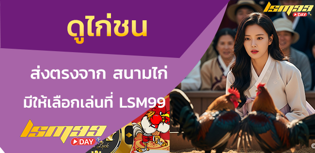 ดูไก่ชน